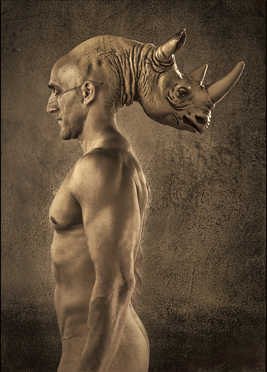 rhino-head